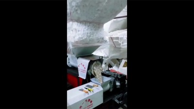 EPS Pelletizing Line